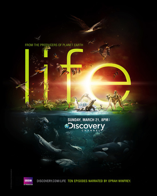 Life Discovery Channel