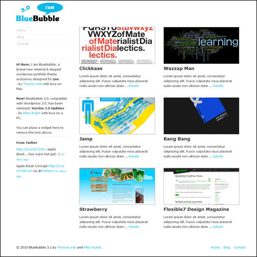 BlueBubble WordPress Theme