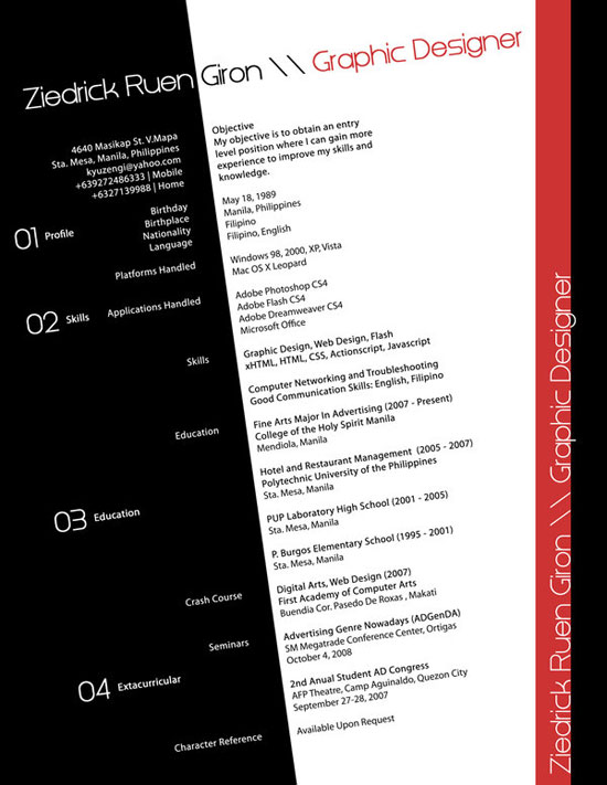 Examples of Professional Resumes