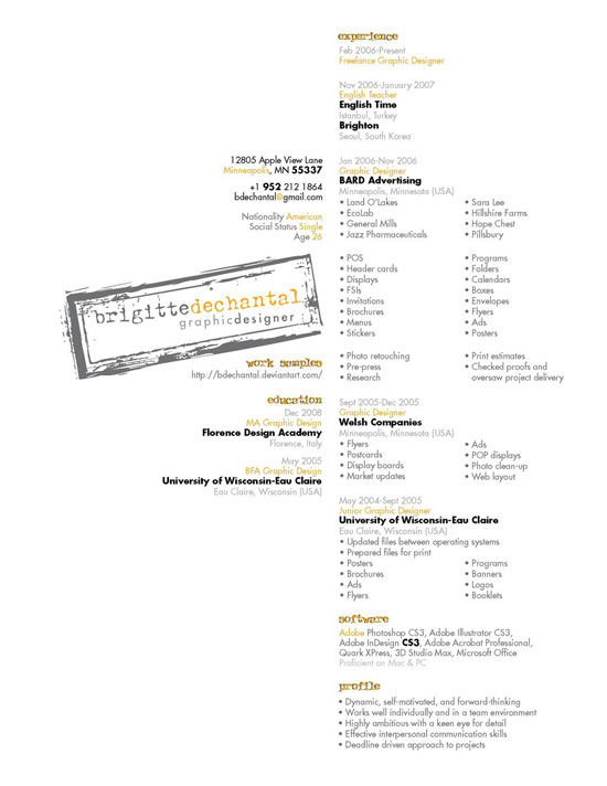 Examples of Professional Resumes