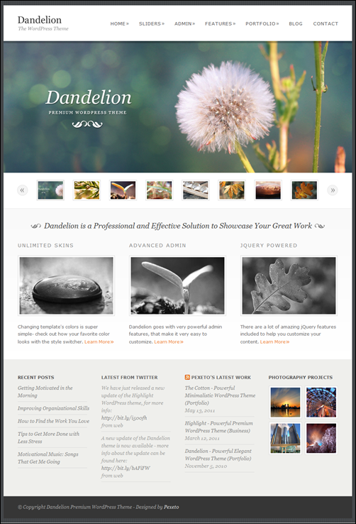 Dandelion - Powerful Elegant WordPress Theme
