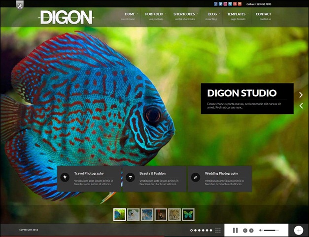 Digon Responsive Fullscreen
