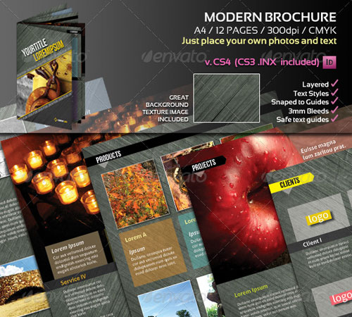 Modern A4 Brochure