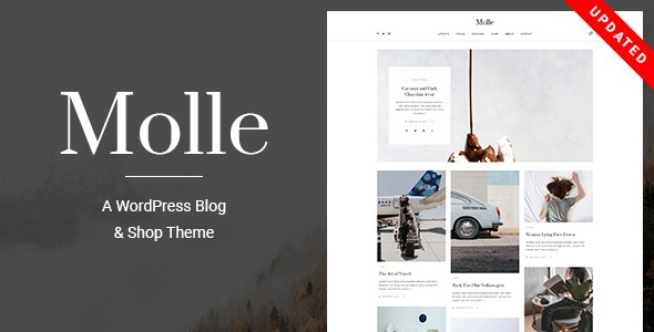 molle - a wordpress blog & shop theme